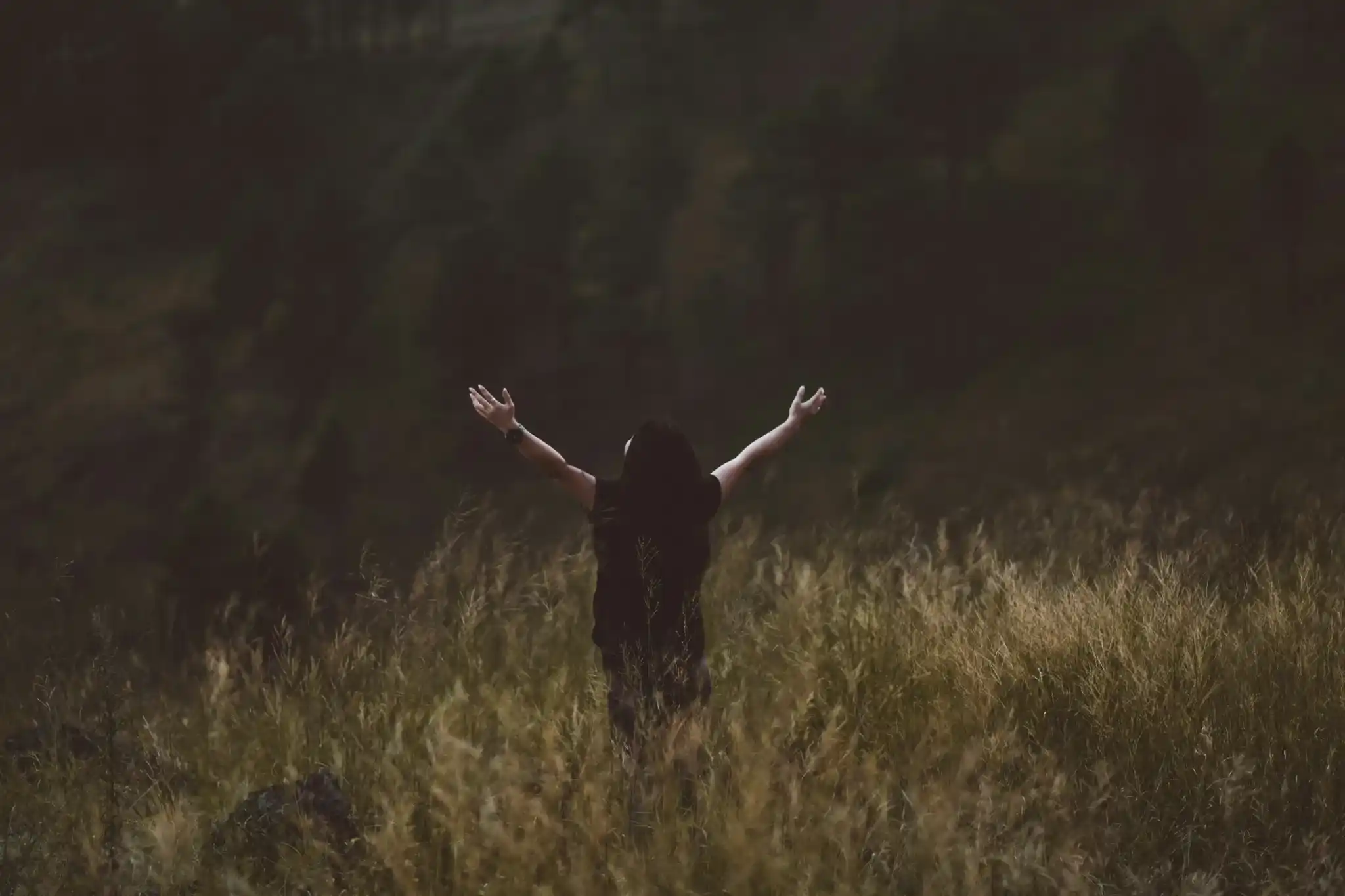 A worshipper with hands raised in a field